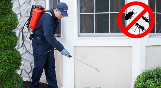 Çınar Hamam Böceği İlaçlama böcek ilaçlama ve haşere kontrolü — ilaclama-tr.com